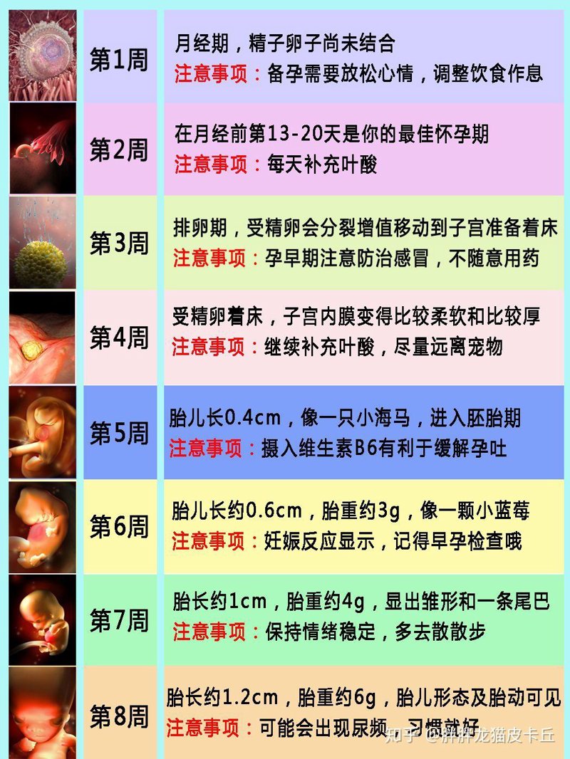 怀孕初期注意事项选购指南