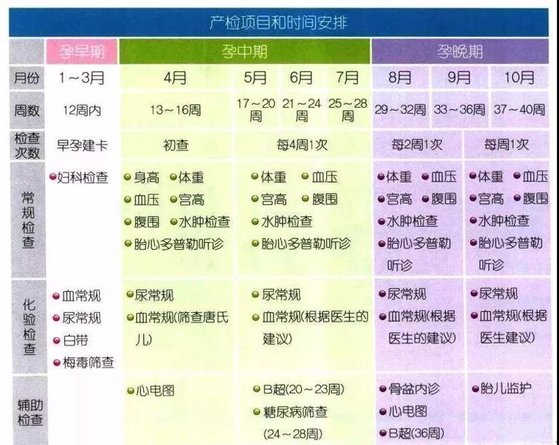 宝宝辅食制作指南：新手父母必看