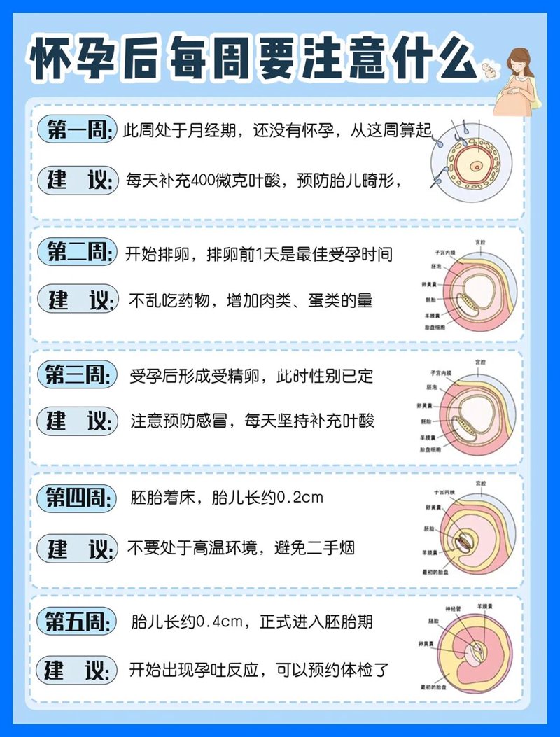 怀孕初期，新手爸妈必知的注意事项
